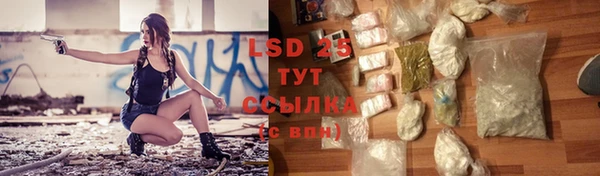 твердый Алзамай