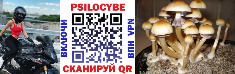 Псилоцибиновые грибы прущие грибы  Серов 