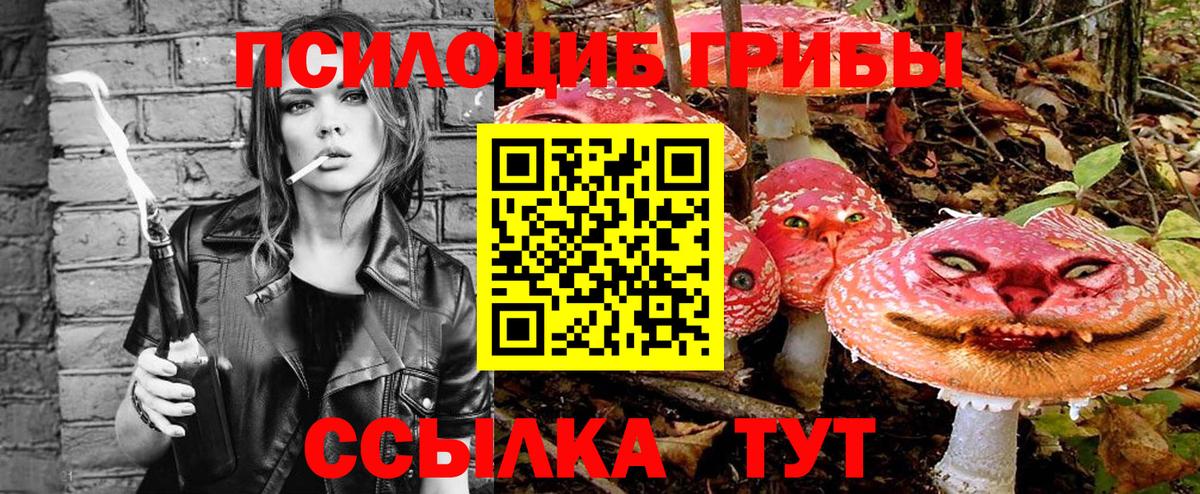 Псилоцибиновые грибы Psilocybe Серов